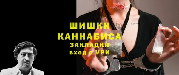 сатива Краснослободск