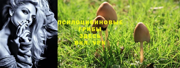 spice Краснотурьинск
