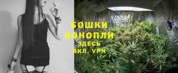 сатива Краснослободск