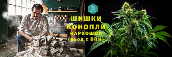 сатива Краснослободск