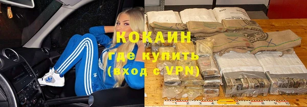 сатива Краснослободск