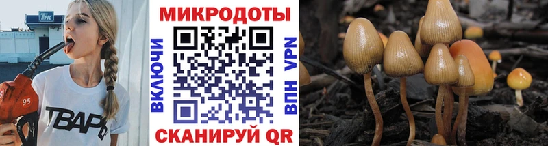 Галлюциногенные грибы прущие грибы  Троицк 