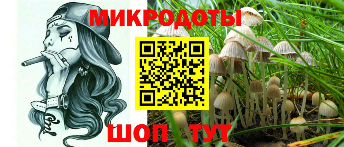 Галлюциногенные грибы Psilocybine cubensis Троицк