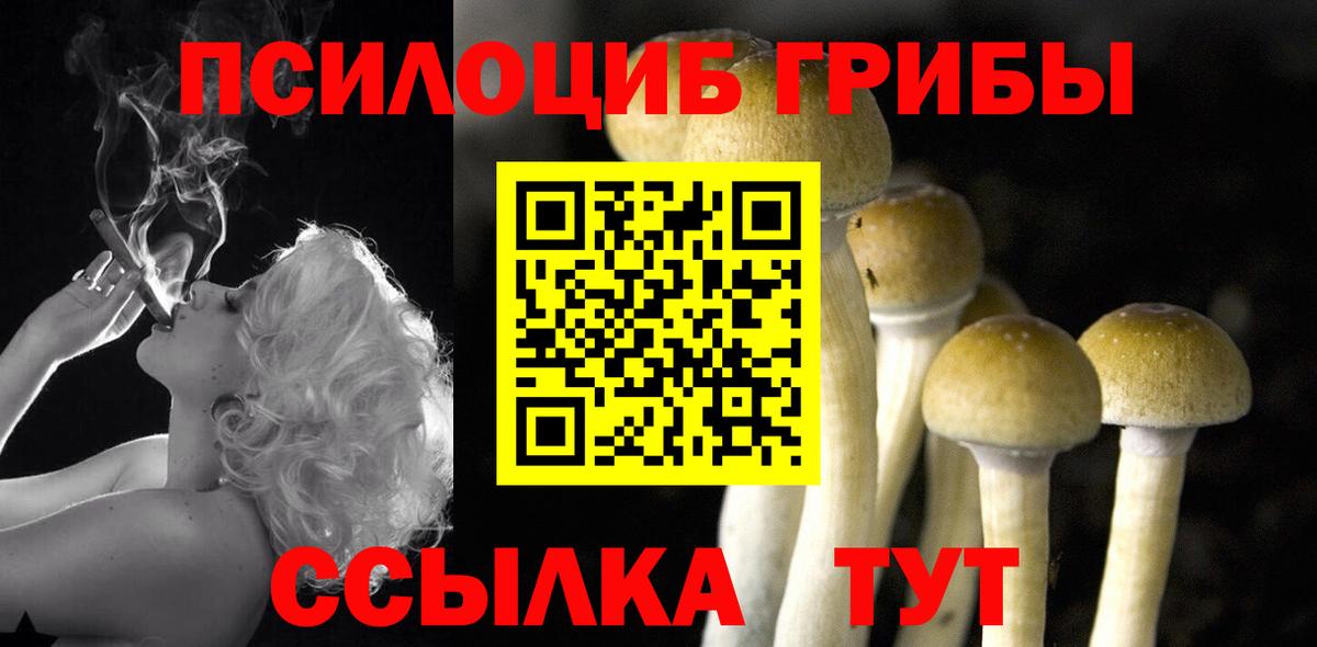 Галлюциногенные грибы Cubensis  Вход с VPN  Троицк 